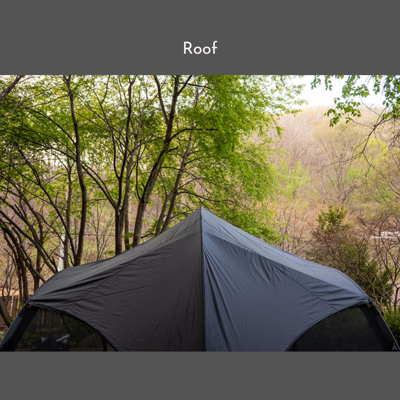 [Tenter] S-Mesh Tent, Summer Shelter