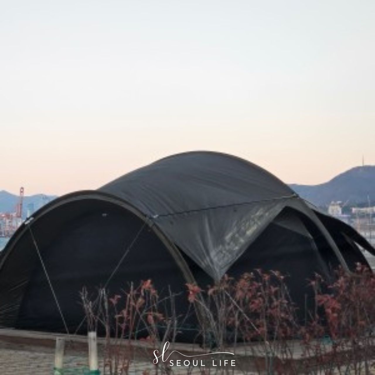 [Tenter] Ortus N Camping Tent