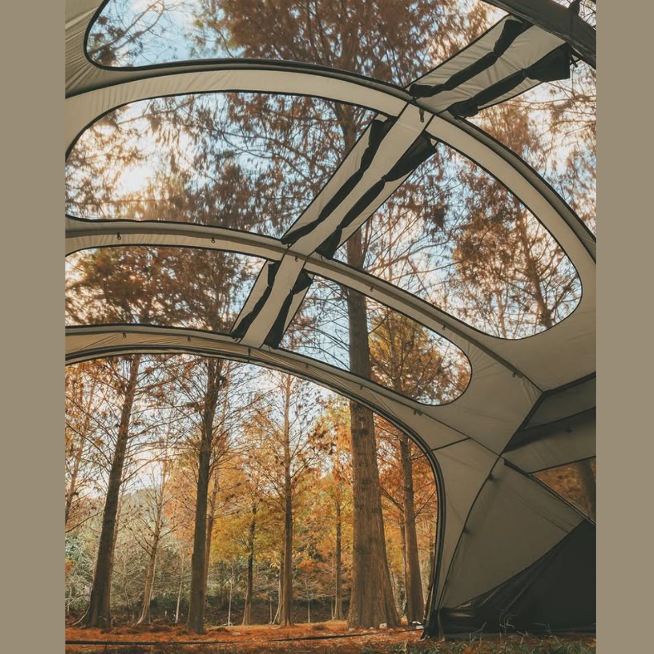 [Hellos] Slug Shelter V2.0
