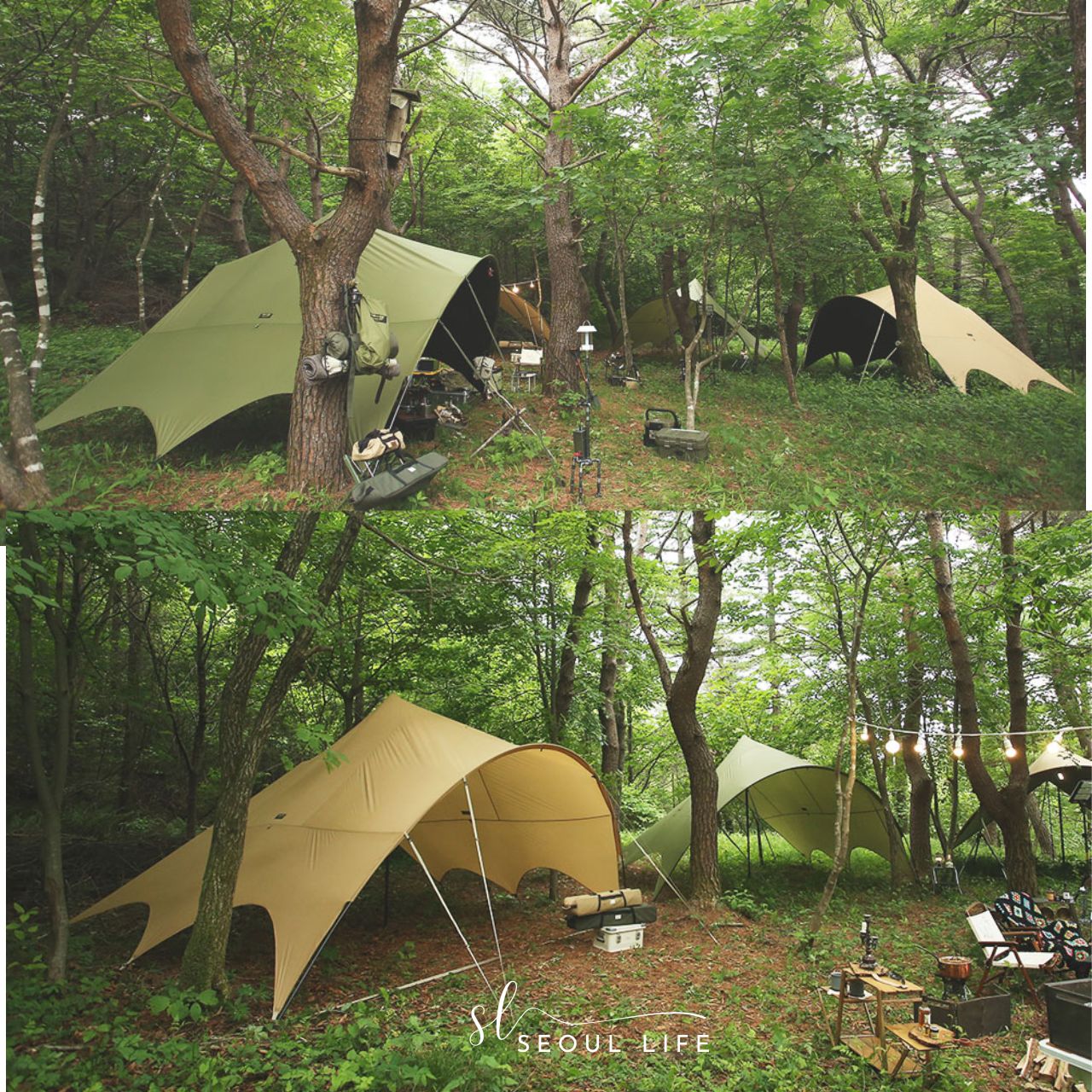 Hellos] Butterfly Tarp for Outdoor Camping – SeoulLife